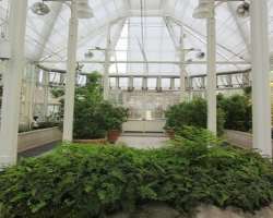 The medicinal garden is known for various plants used by early European settlers. It also has non-indigenous species to the Acadian Forest Region.